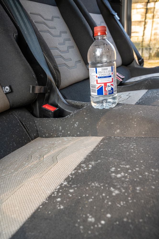 Vinegar is useful for cleaning mold in a car interior.